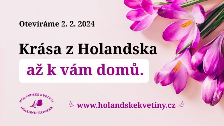 23-140-Holandske-Kvetiny-Navrh.1-sirka